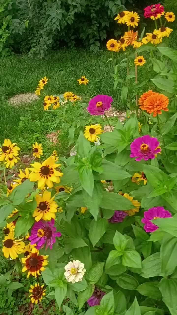 @O.G.