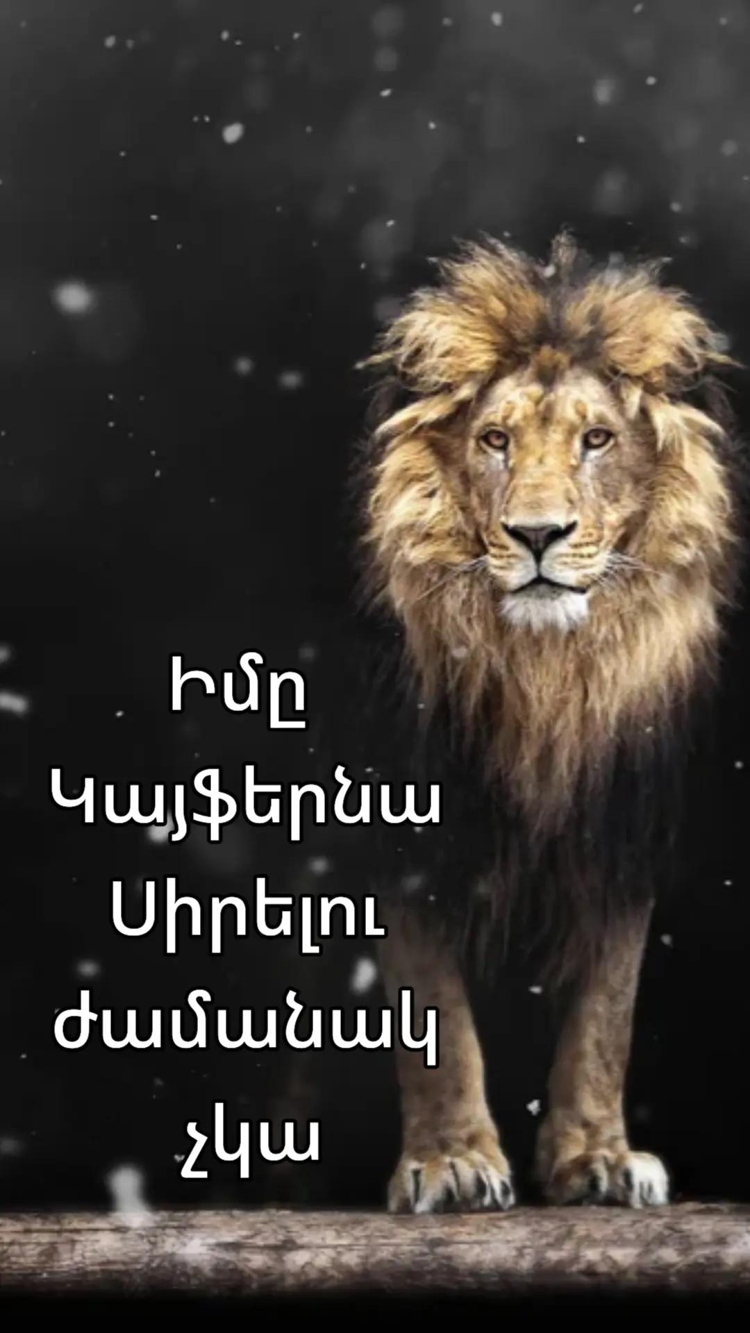 @🧸⚡Կայծնա⚡🧸