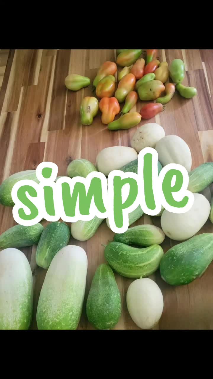 @TheNakedPlantLadyLLC