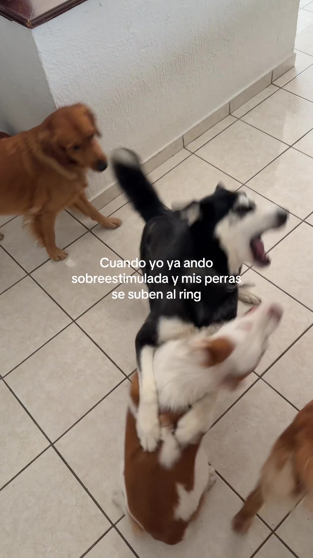 @Pamela Elizalde