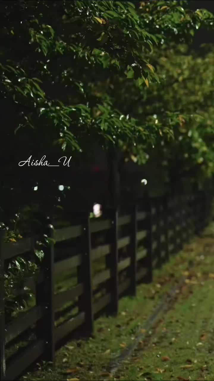 @Aisha_U