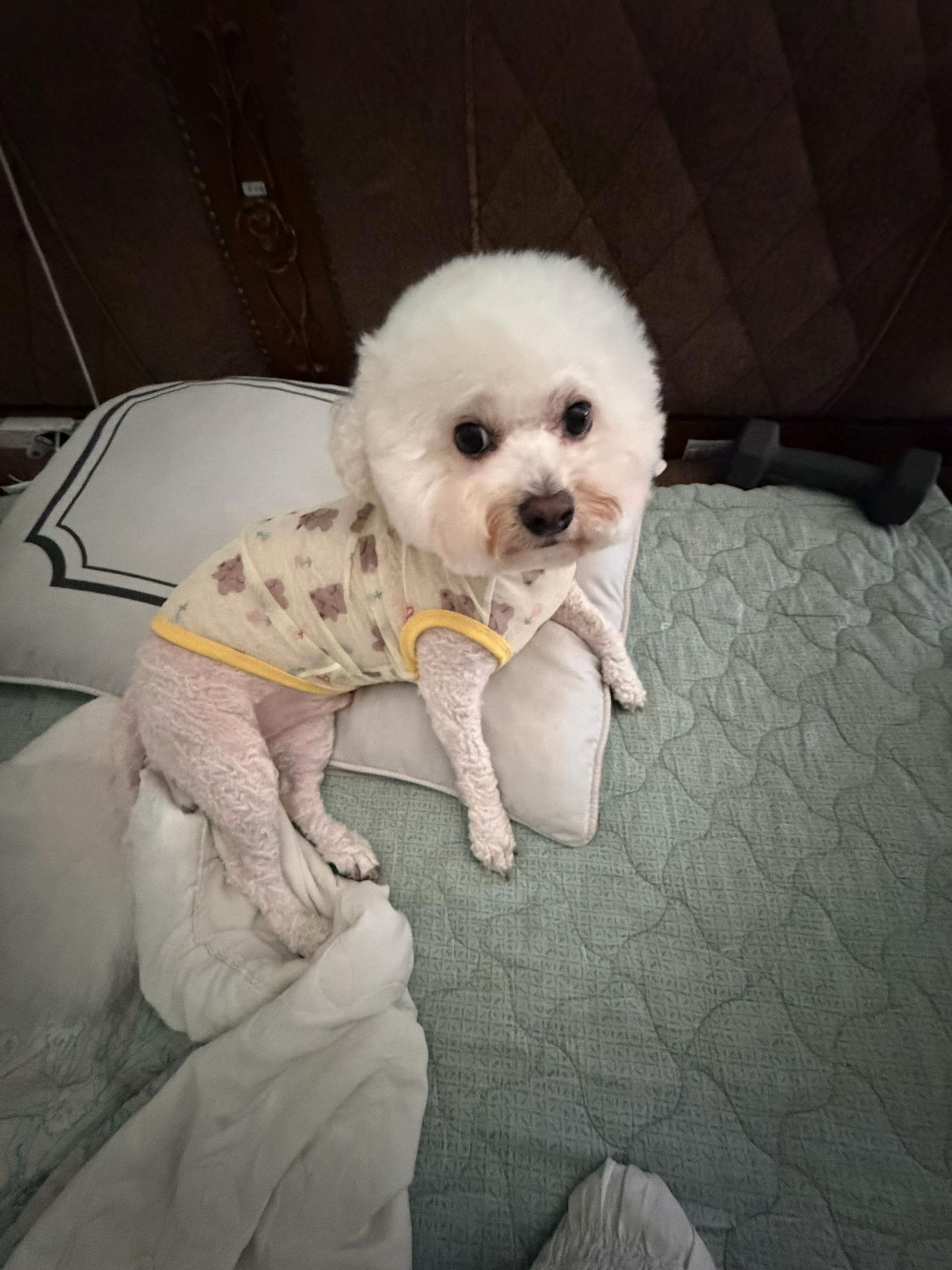 @가은