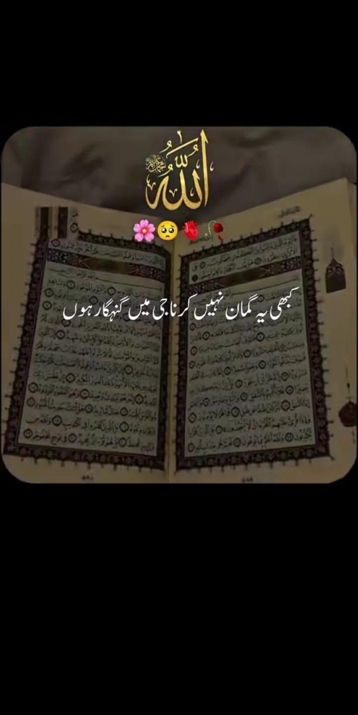 @muntazir.vafadar&hearts;️👑🇬🇧