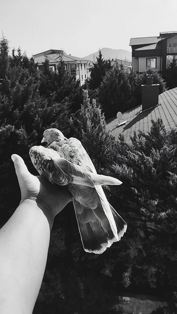@Ayşeg&uuml;l_k&acirc;mil 42