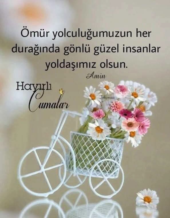 @💙LEYLA❤️ SULTAN 💙