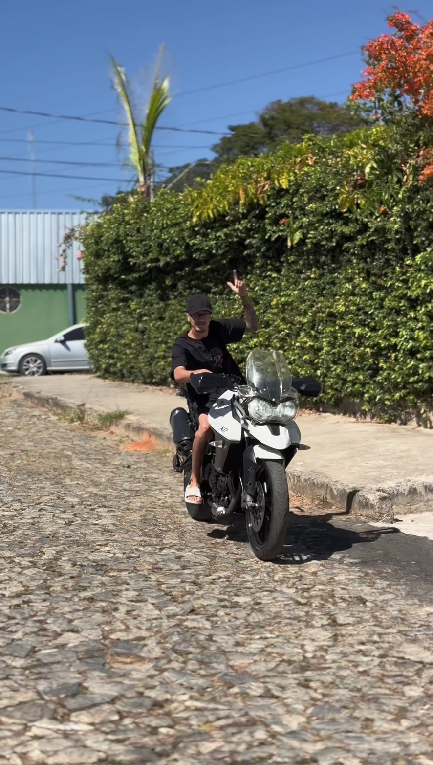 @João Tavares