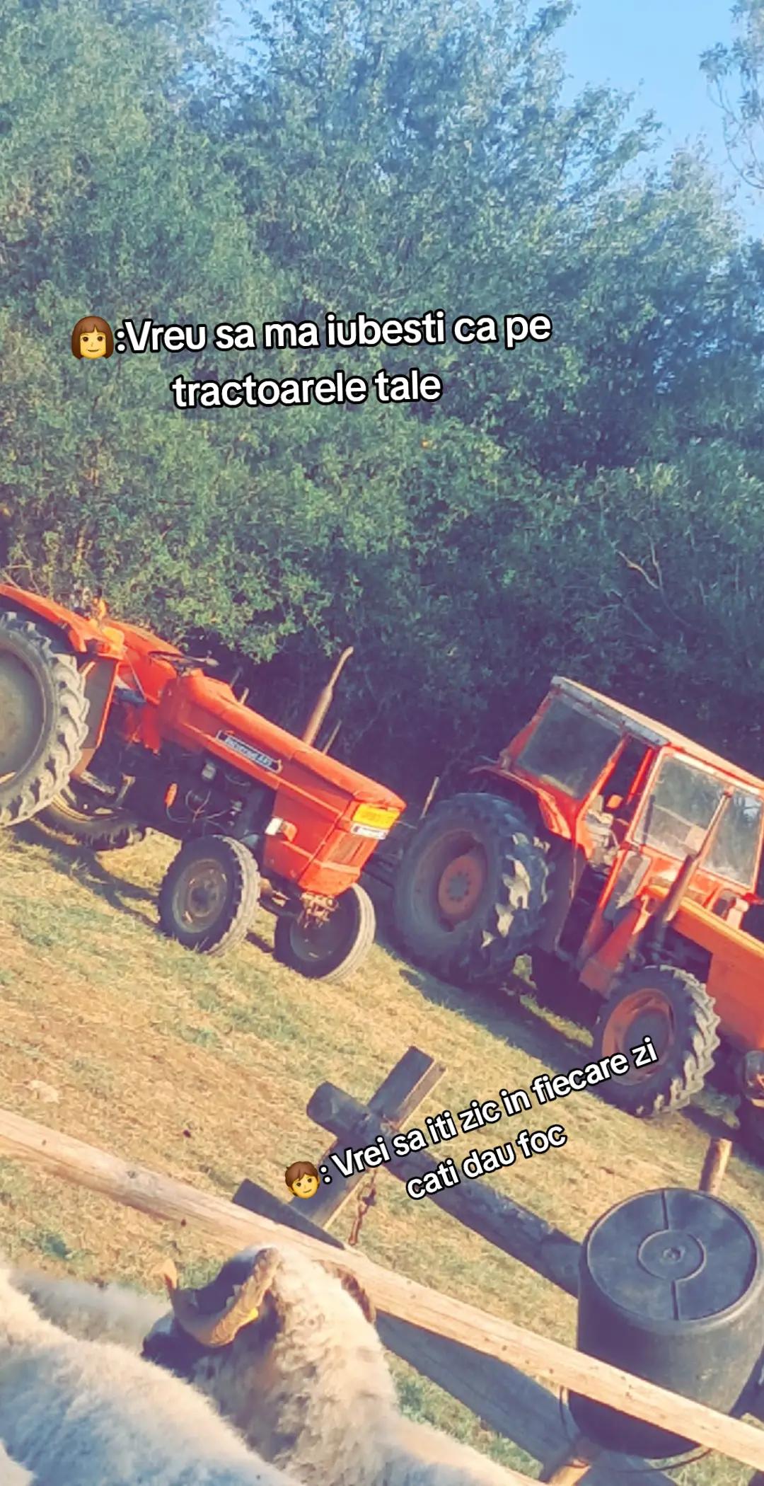 @v&acirc;șcă