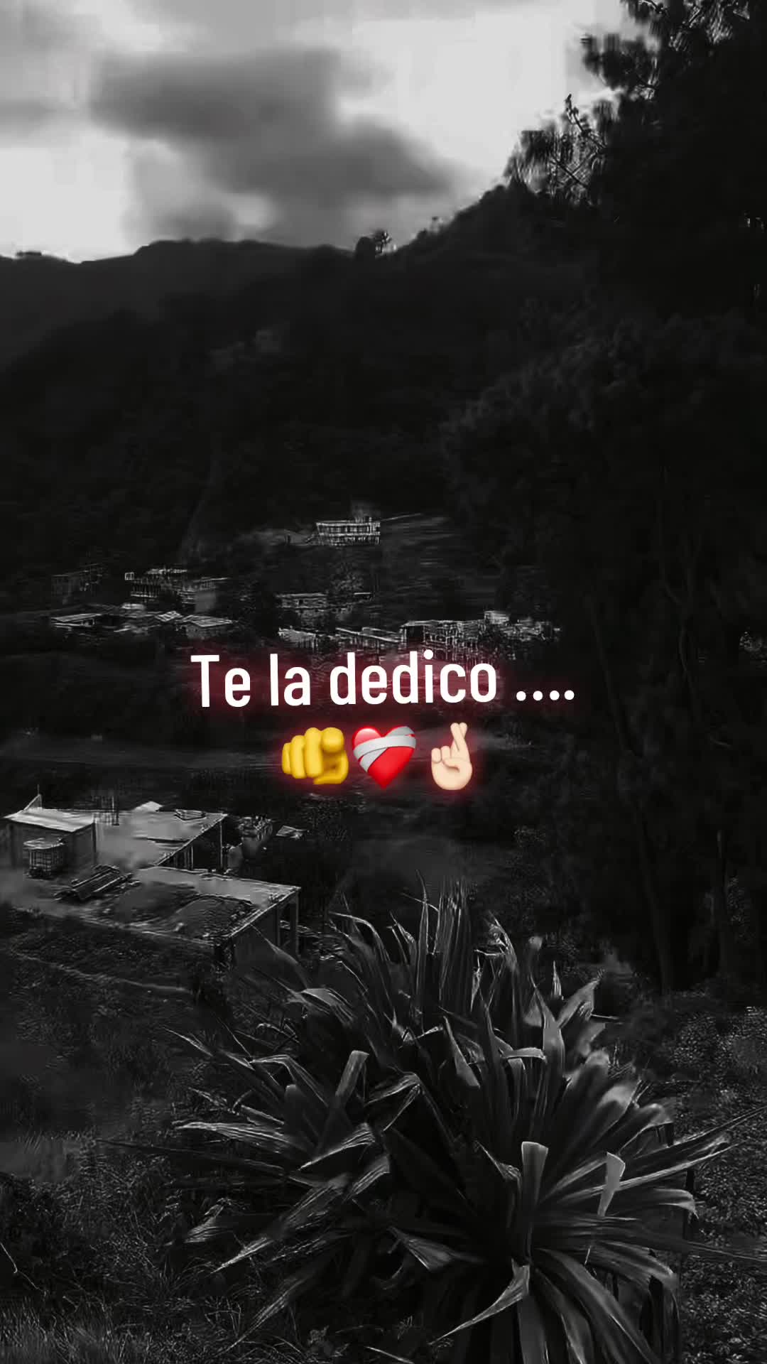 @edgar_GT🗽
