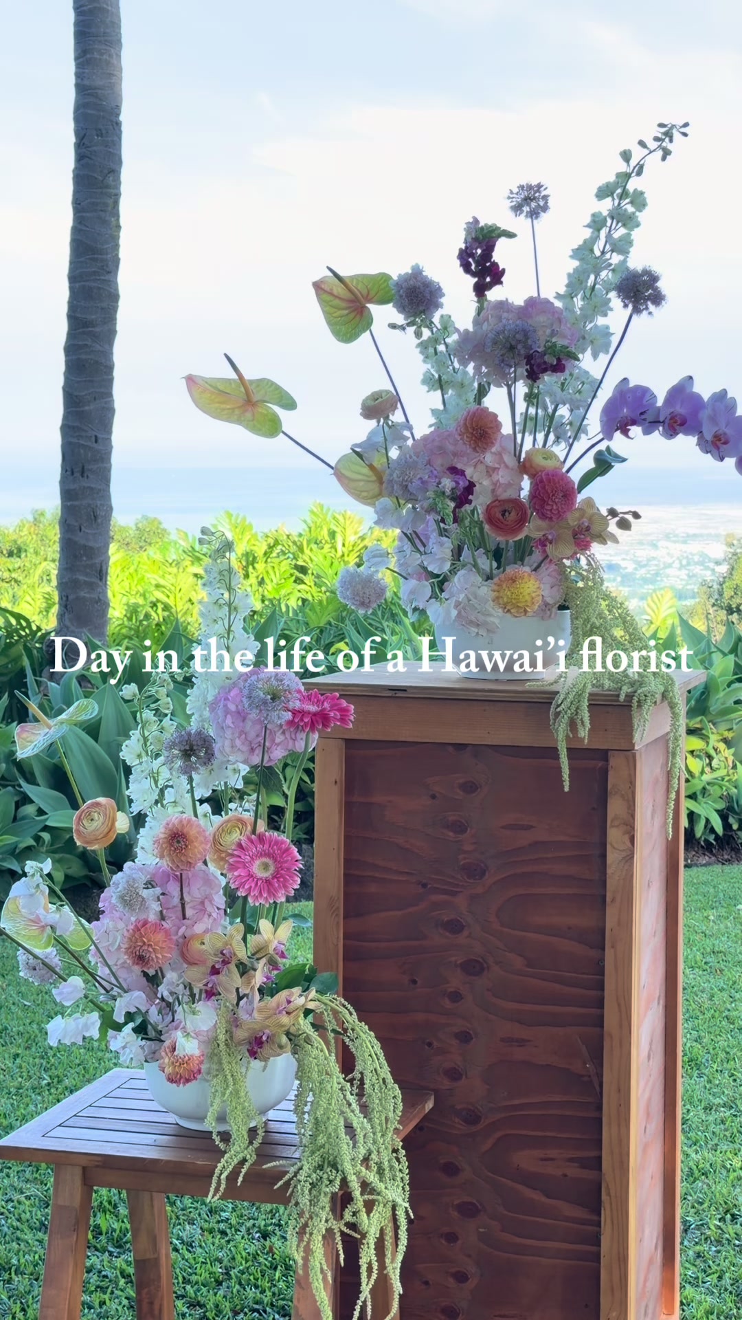 @Shoots Blooms