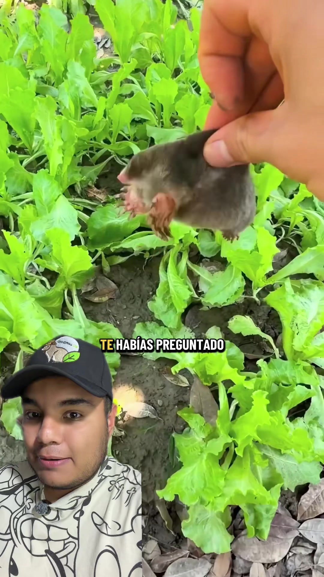 @Jair Herrera 🐆
