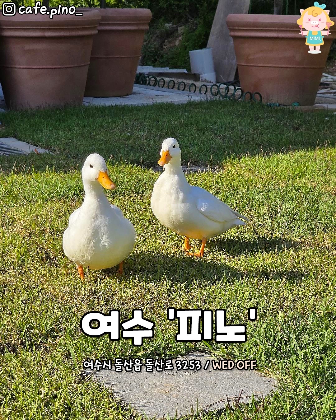@전라도핫플