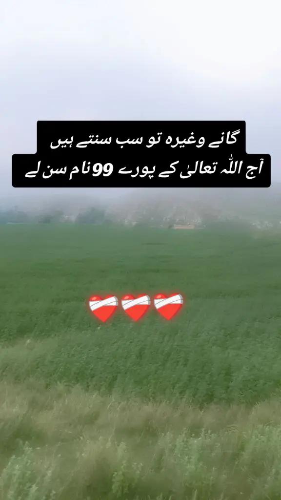@✨Zahir_khan✨