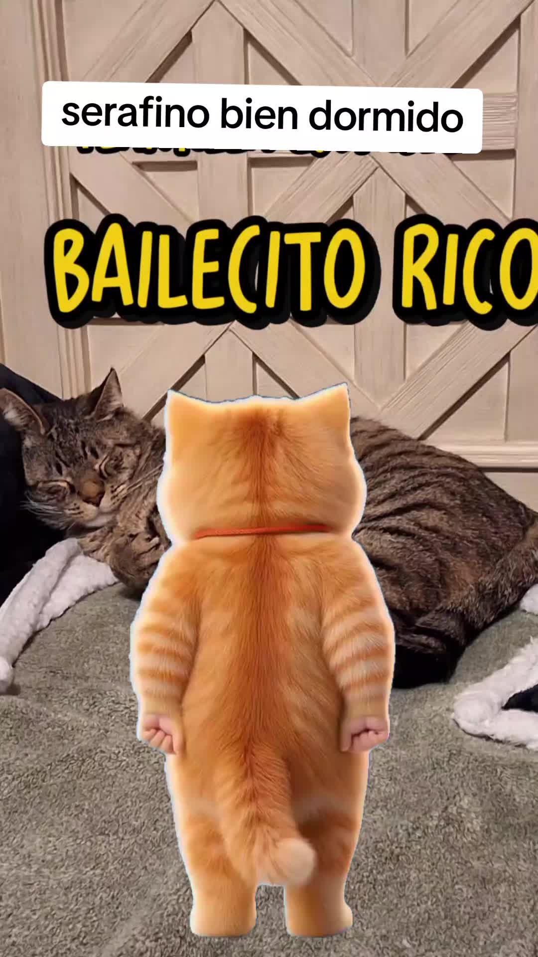 @Mamagatera20