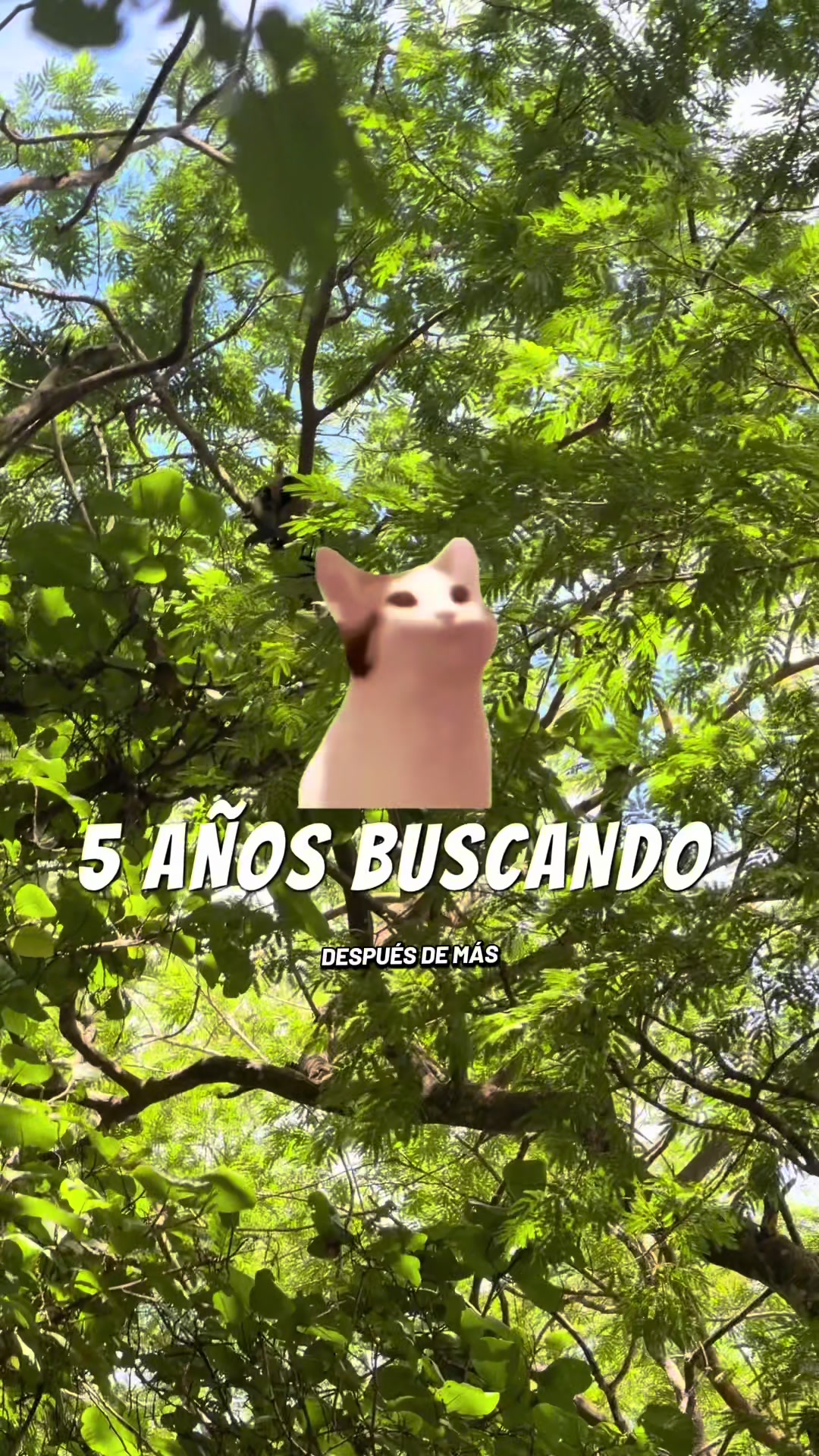 @Jair Herrera 🐆