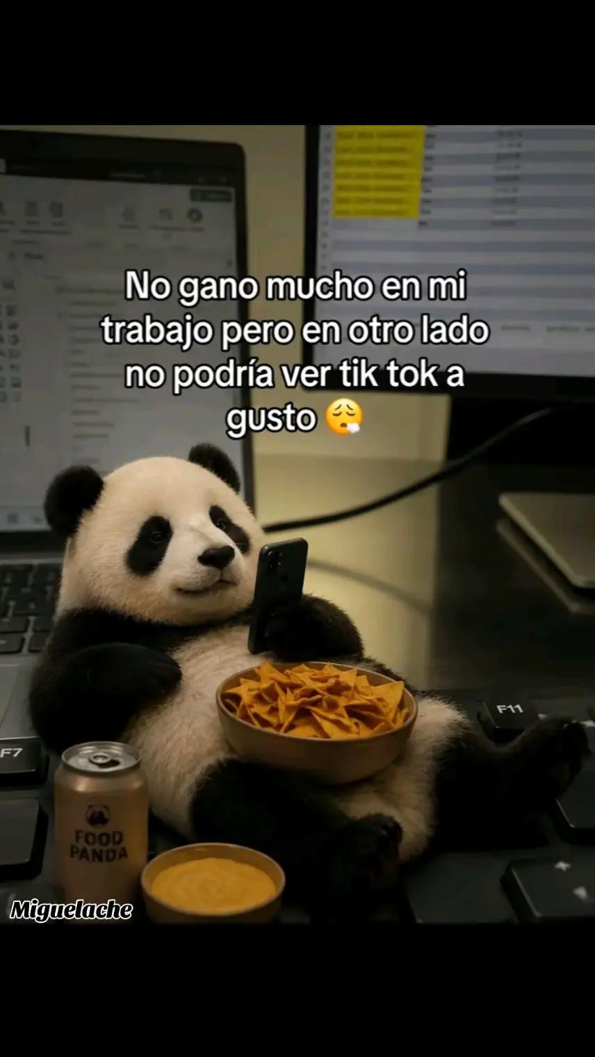 @miguelache@766