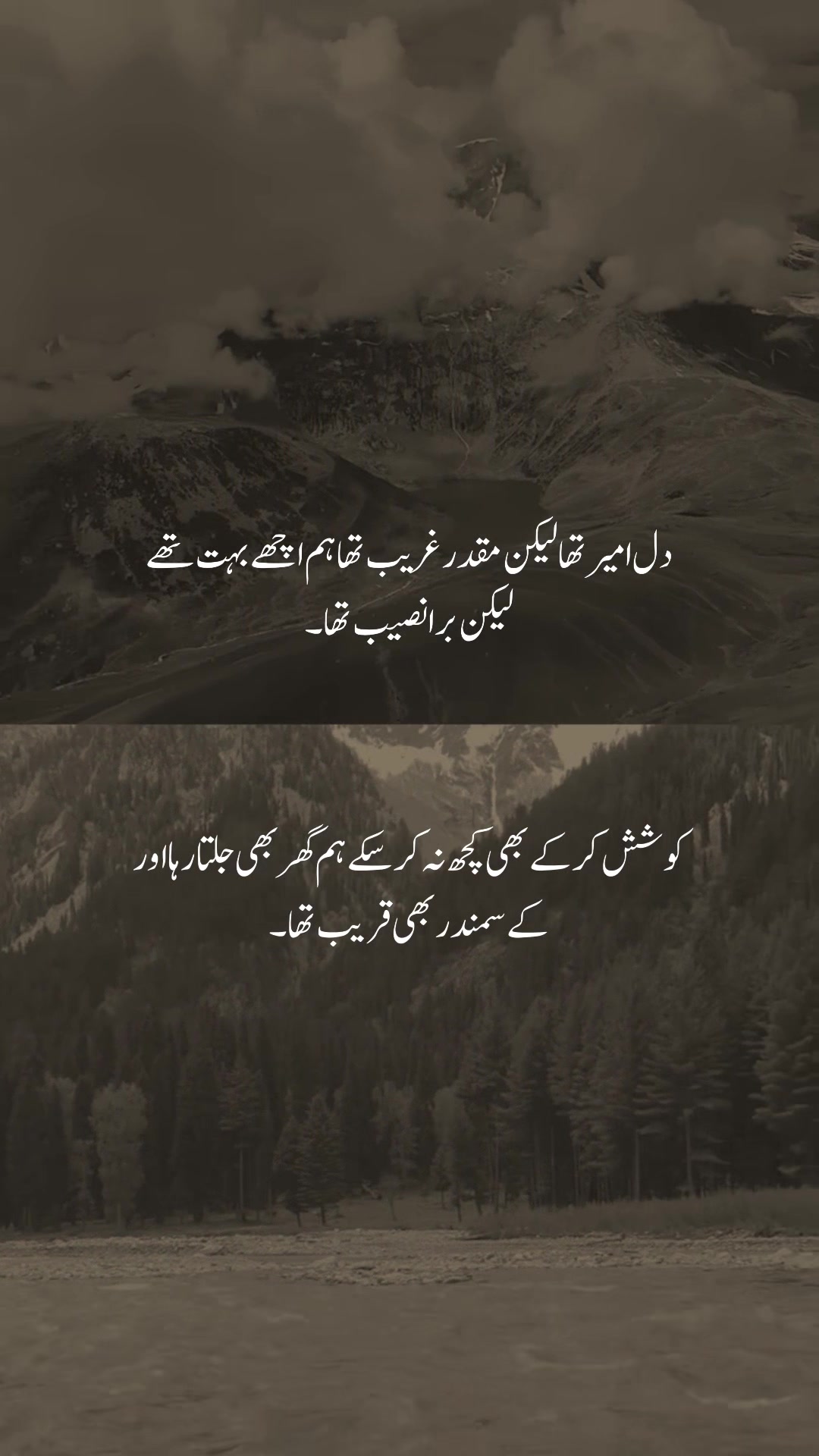 @𓆩شیراز𓆪