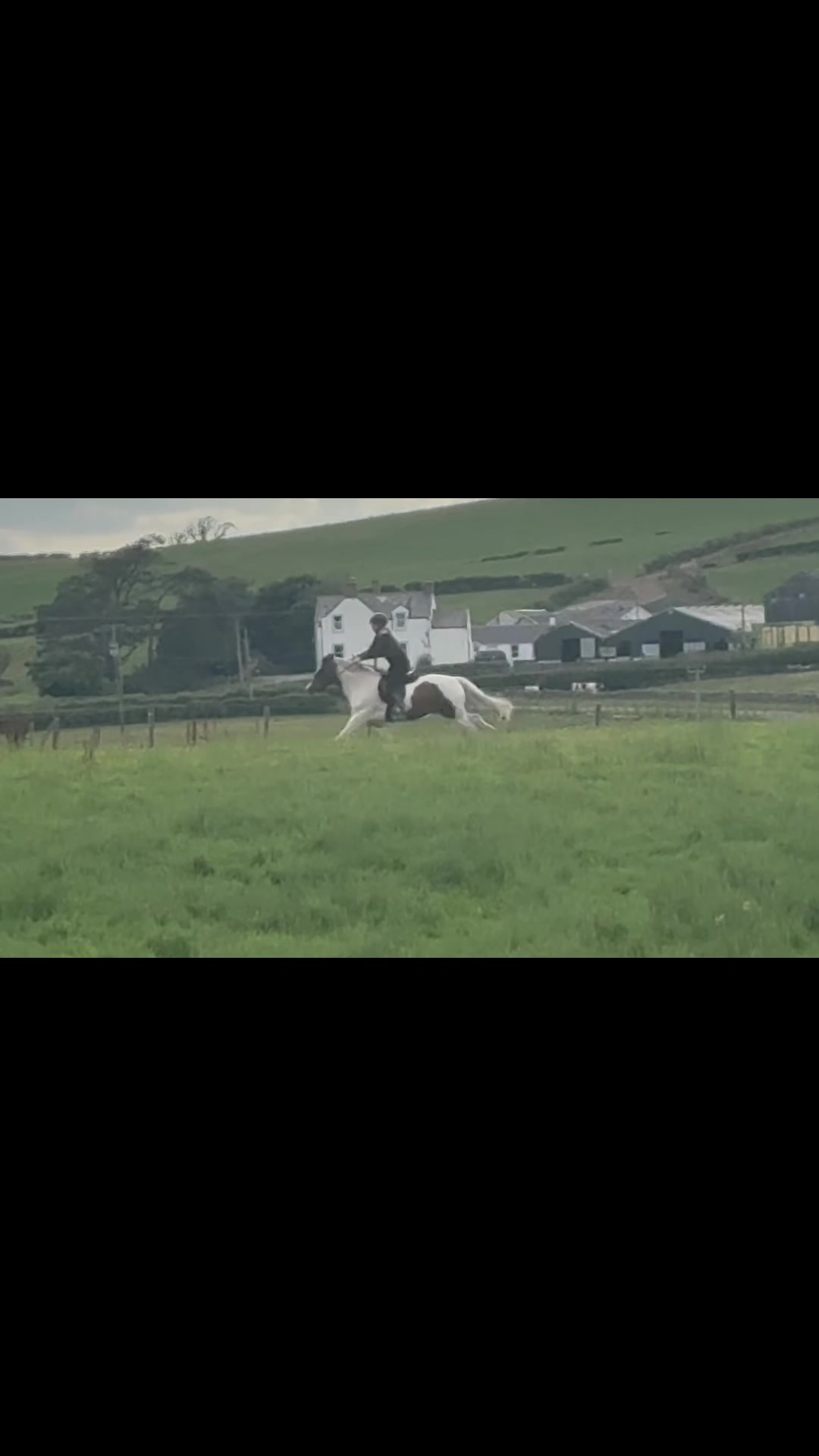 @Lilywiththecobs🐴