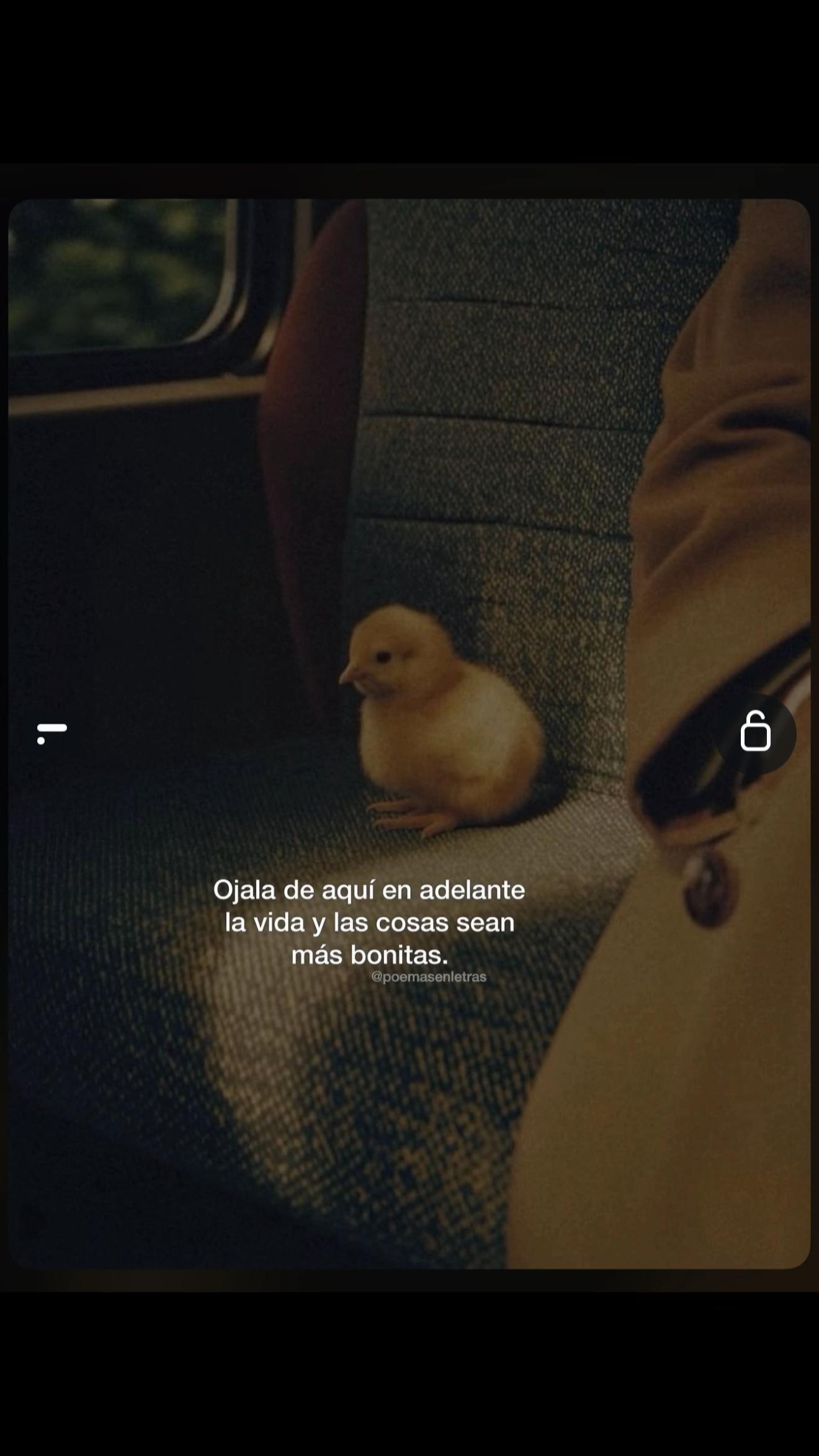 @𝐎𝐝𝐞𝐝 𝐑𝐚𝐳𝐨💖🫶🏻
