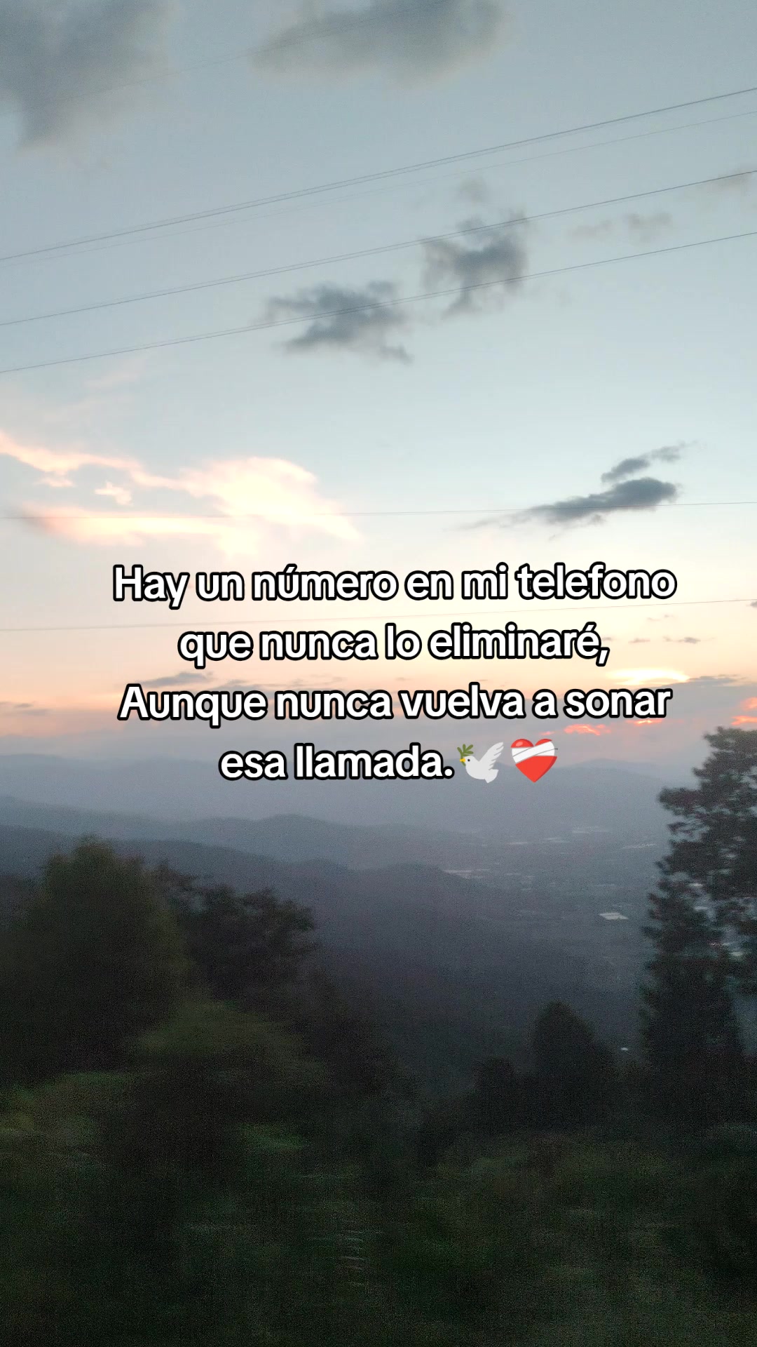 @Elizabeth_Quim/29 💫