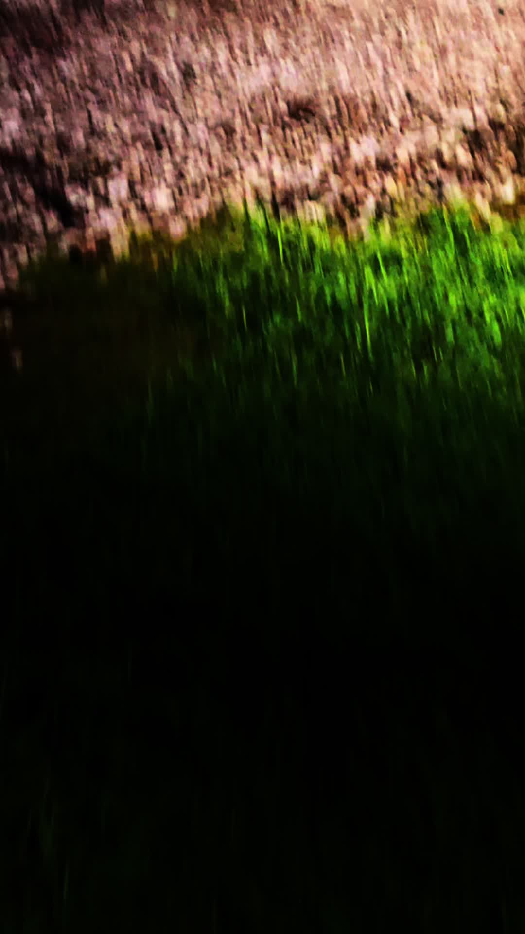 @𝙶𝚛𝚞𝚗𝚐𝚎𝙼𝚘𝚗𝚔𝚎𝚢