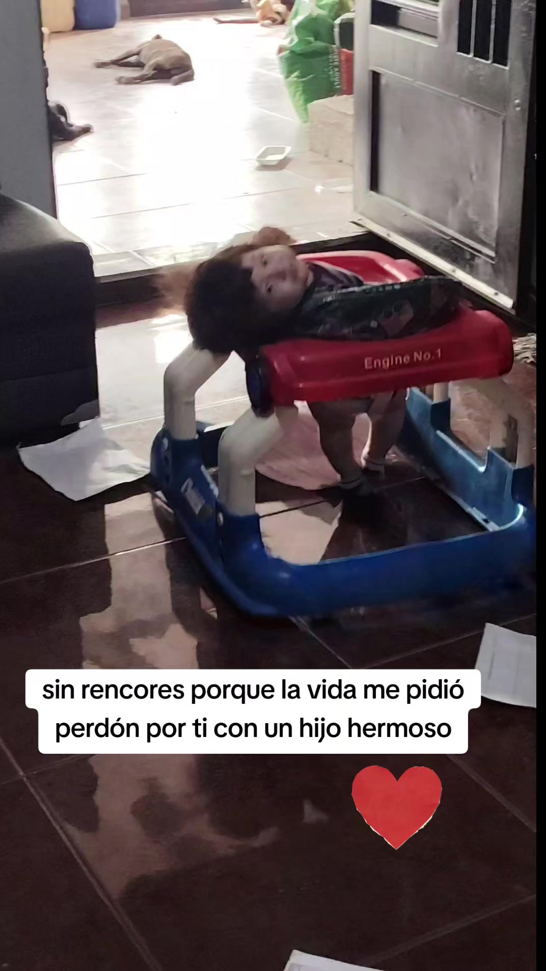 @Brenda Rosales