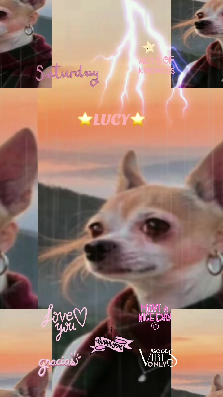 @Lucy