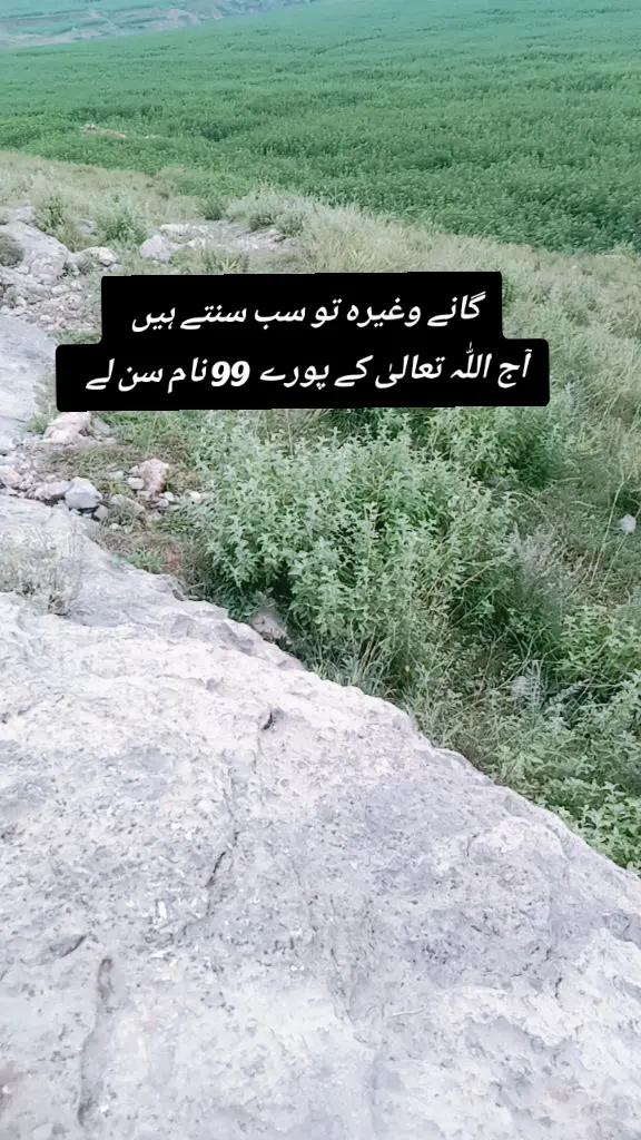 @✨Zahir_khan✨