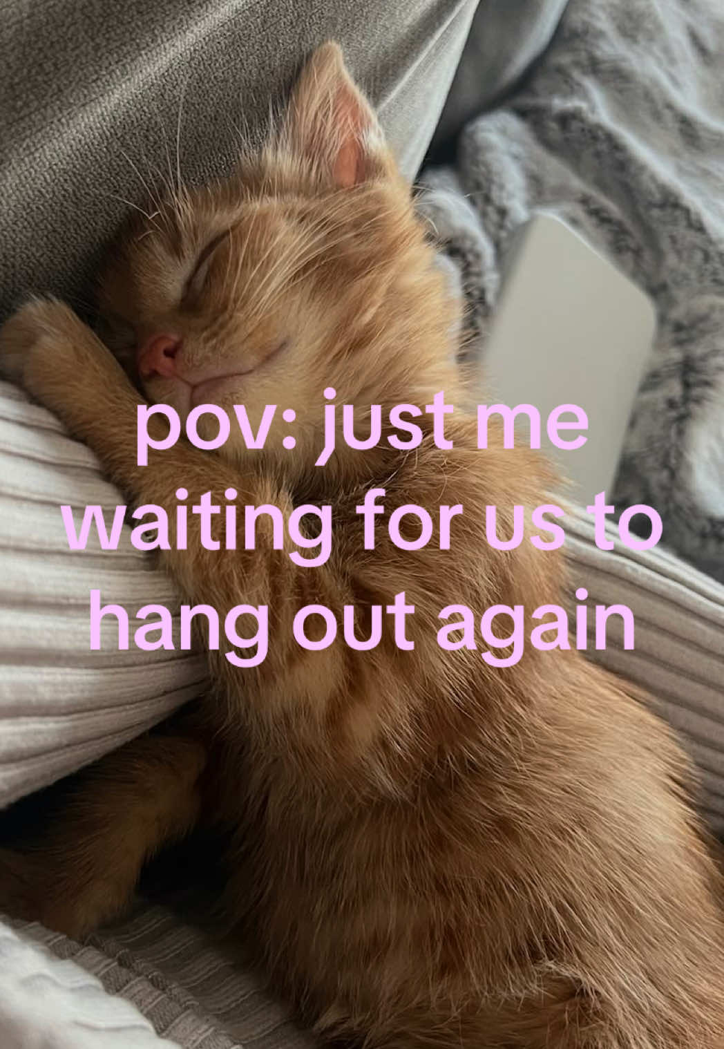 @caughtafeeling