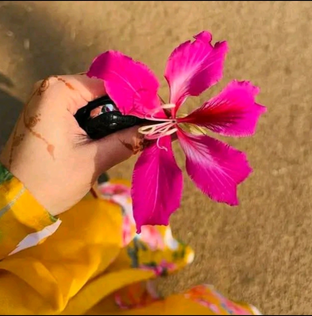 @🥀🥀রাইসা জাহান 🥀🥀