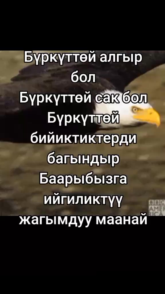 @BERMETIC