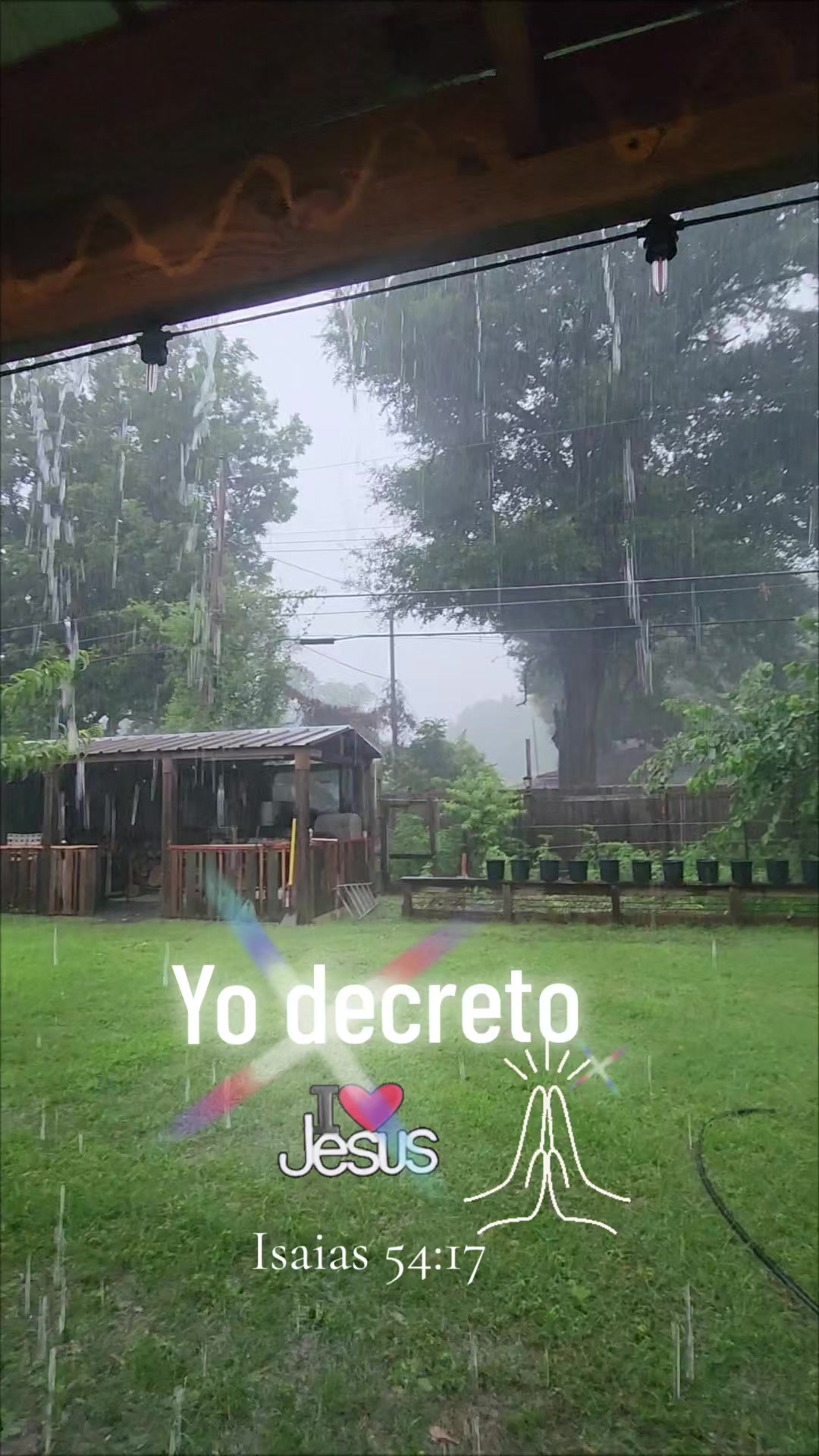 @💞⚘️Lupita⚘️💞