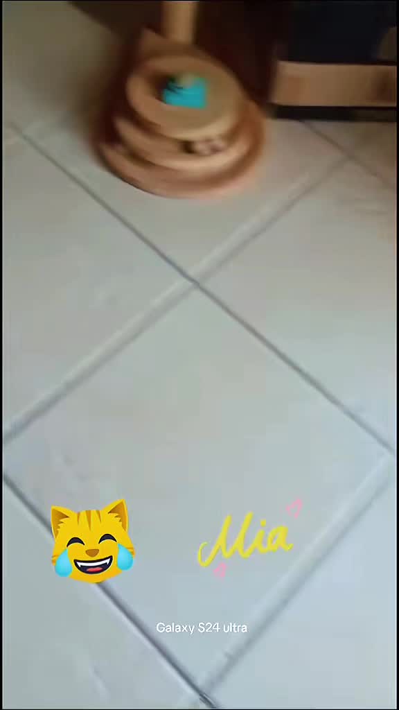 @👑㋛︎ᗰIᗩ ˡᵃ ᘜᗩTTIᑎᗩ𓃠👑
