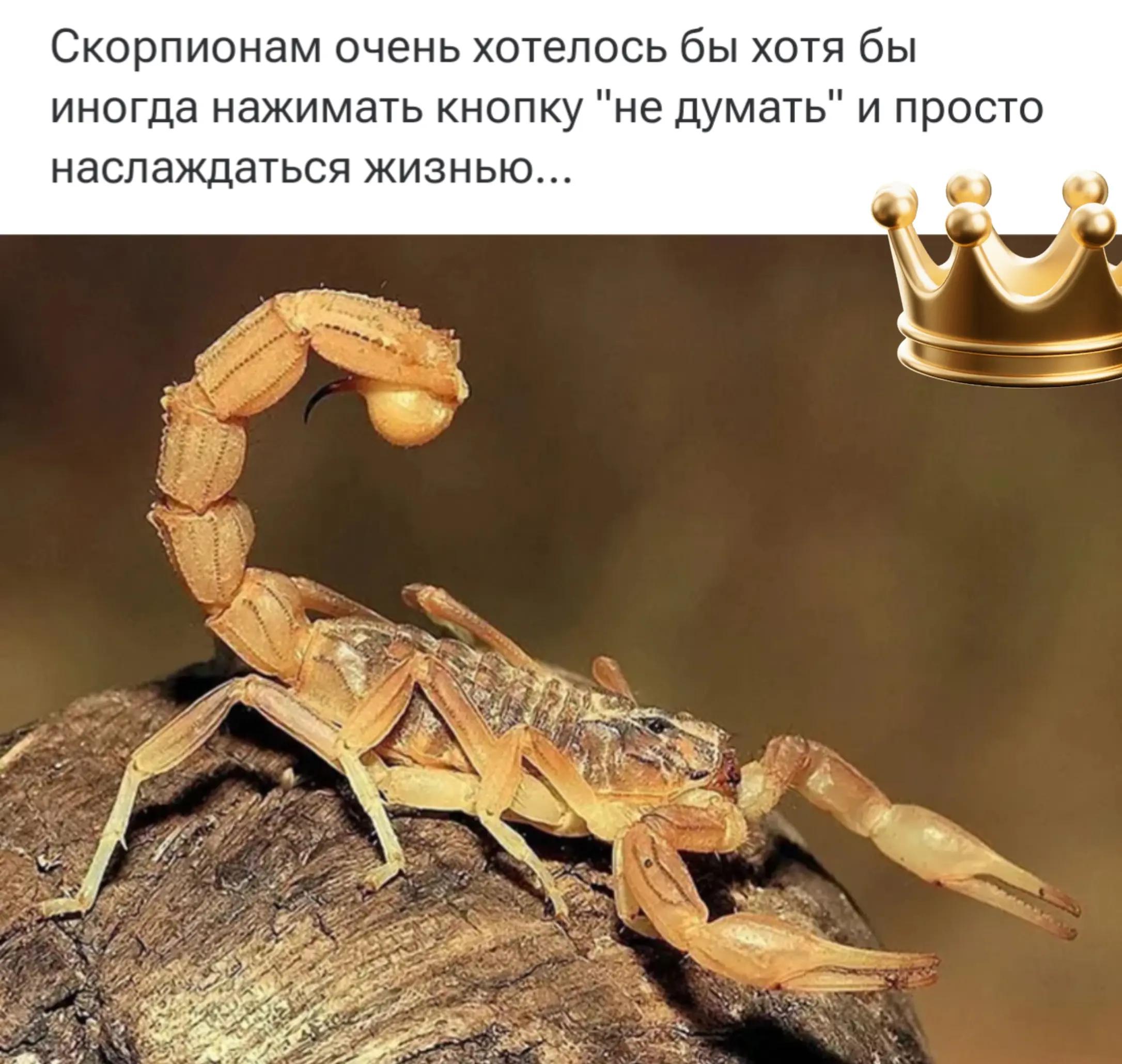 @SamirƏhmədli