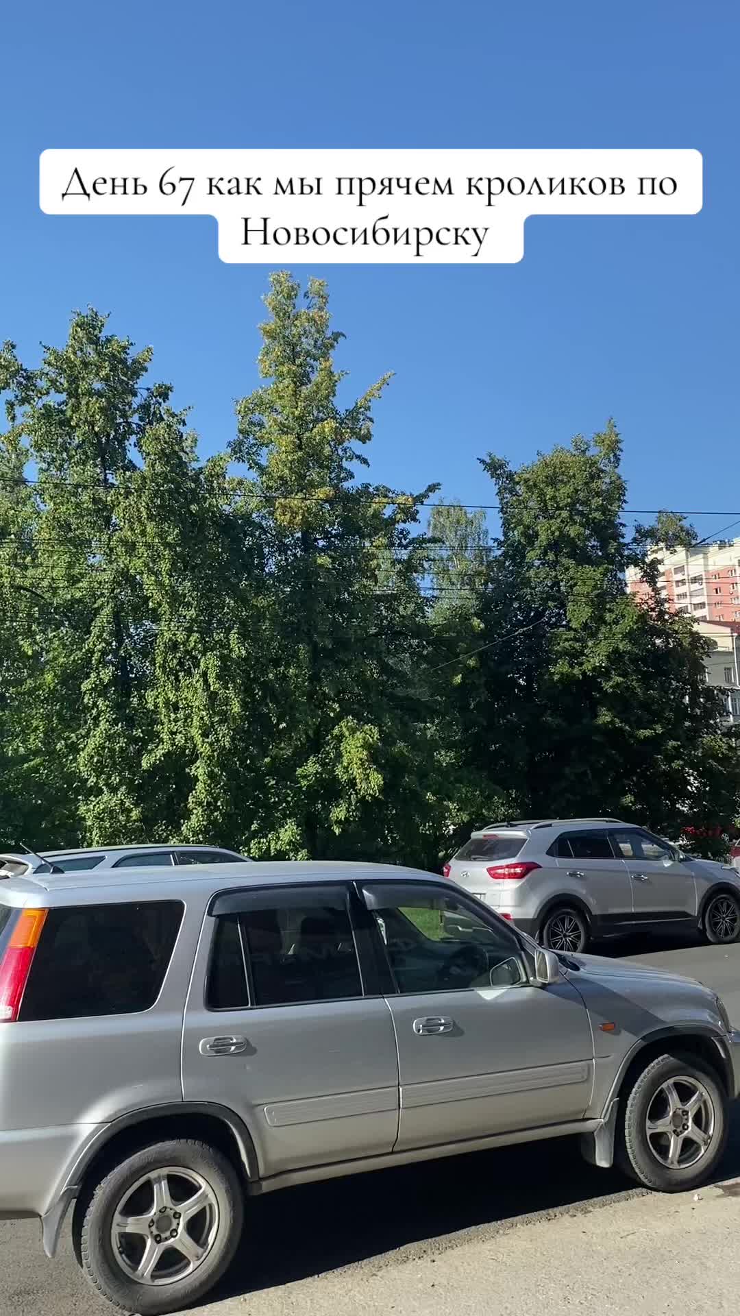 @Кролики