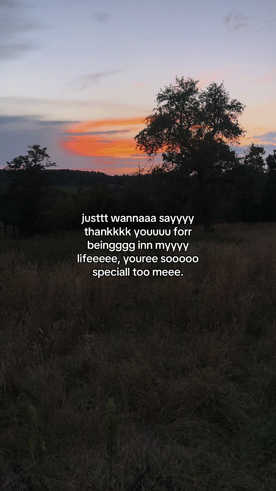 @✧