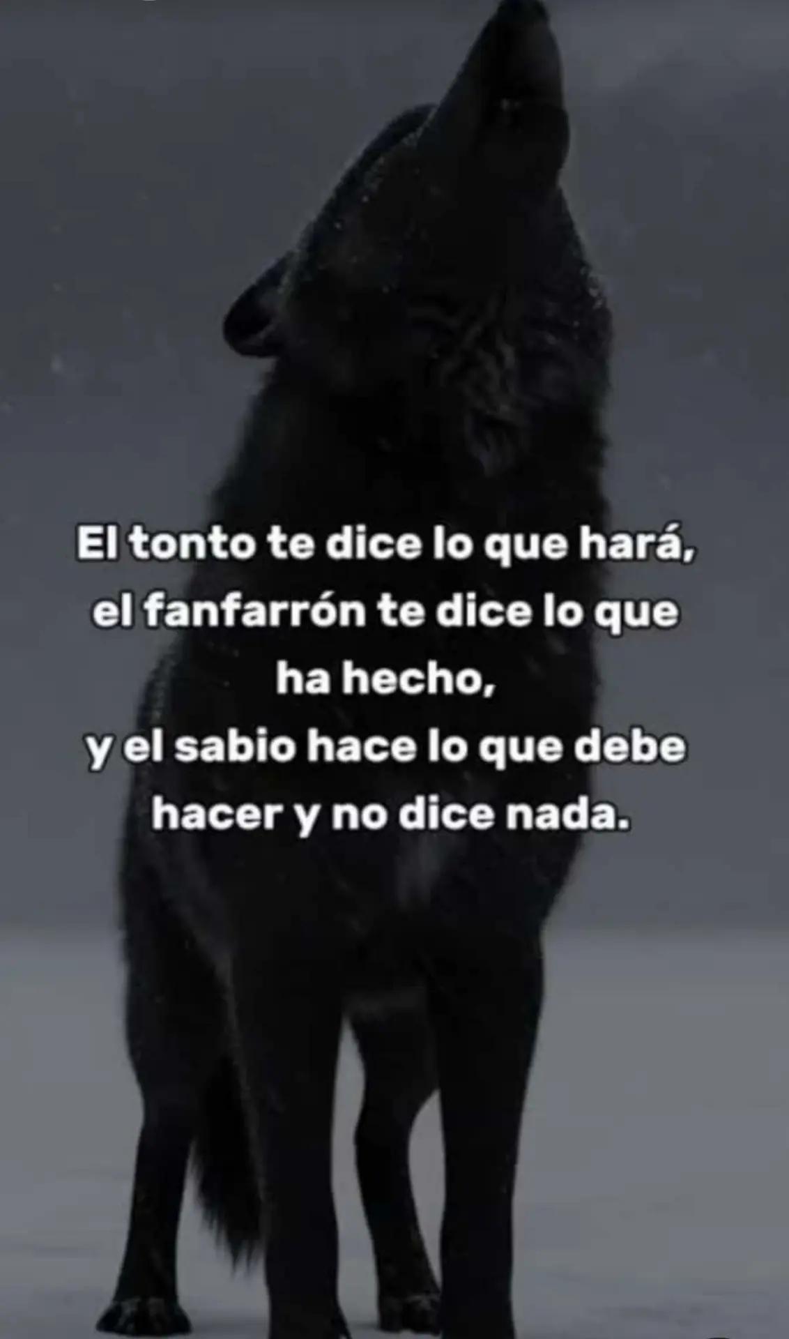 @Dani