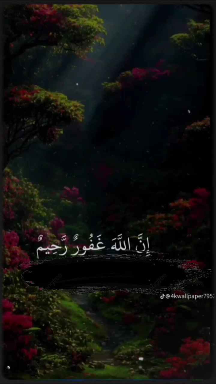 @Nadeem official 31