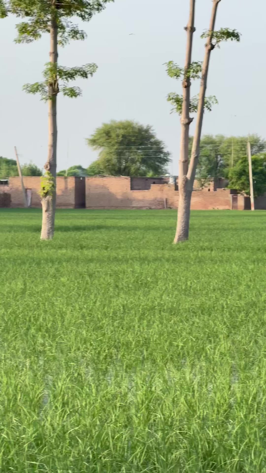 @M.HaSSaN 🇵🇰