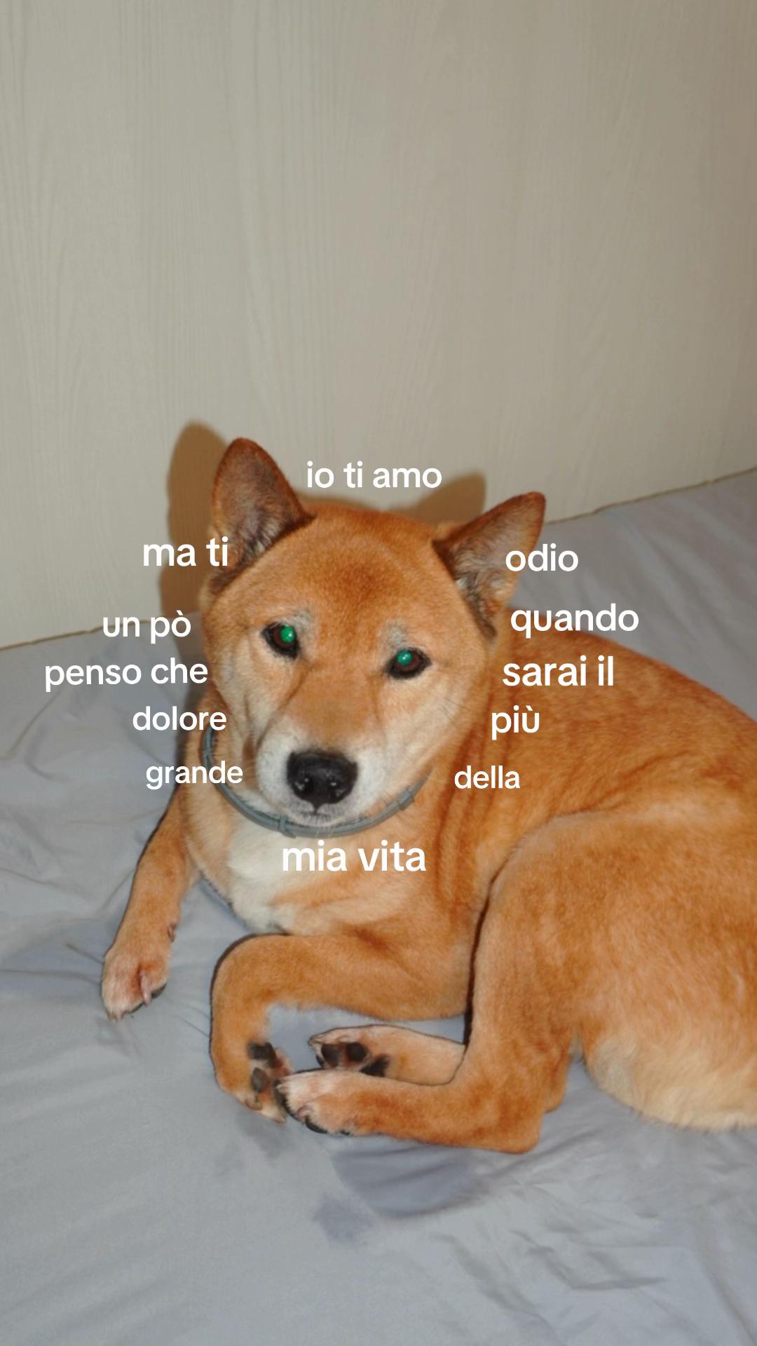 @sofii🌷