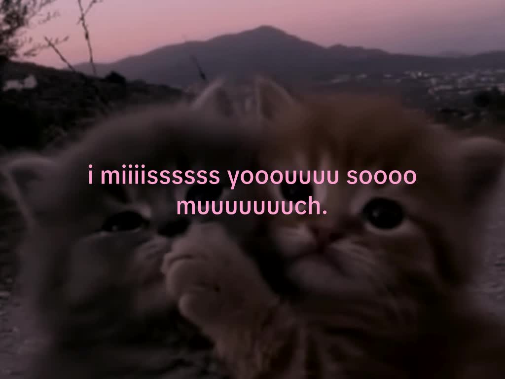 @mond