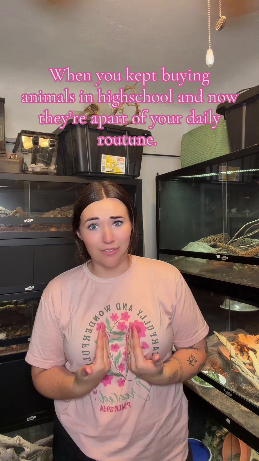 @Katie | my personal zoo 🦎🐰