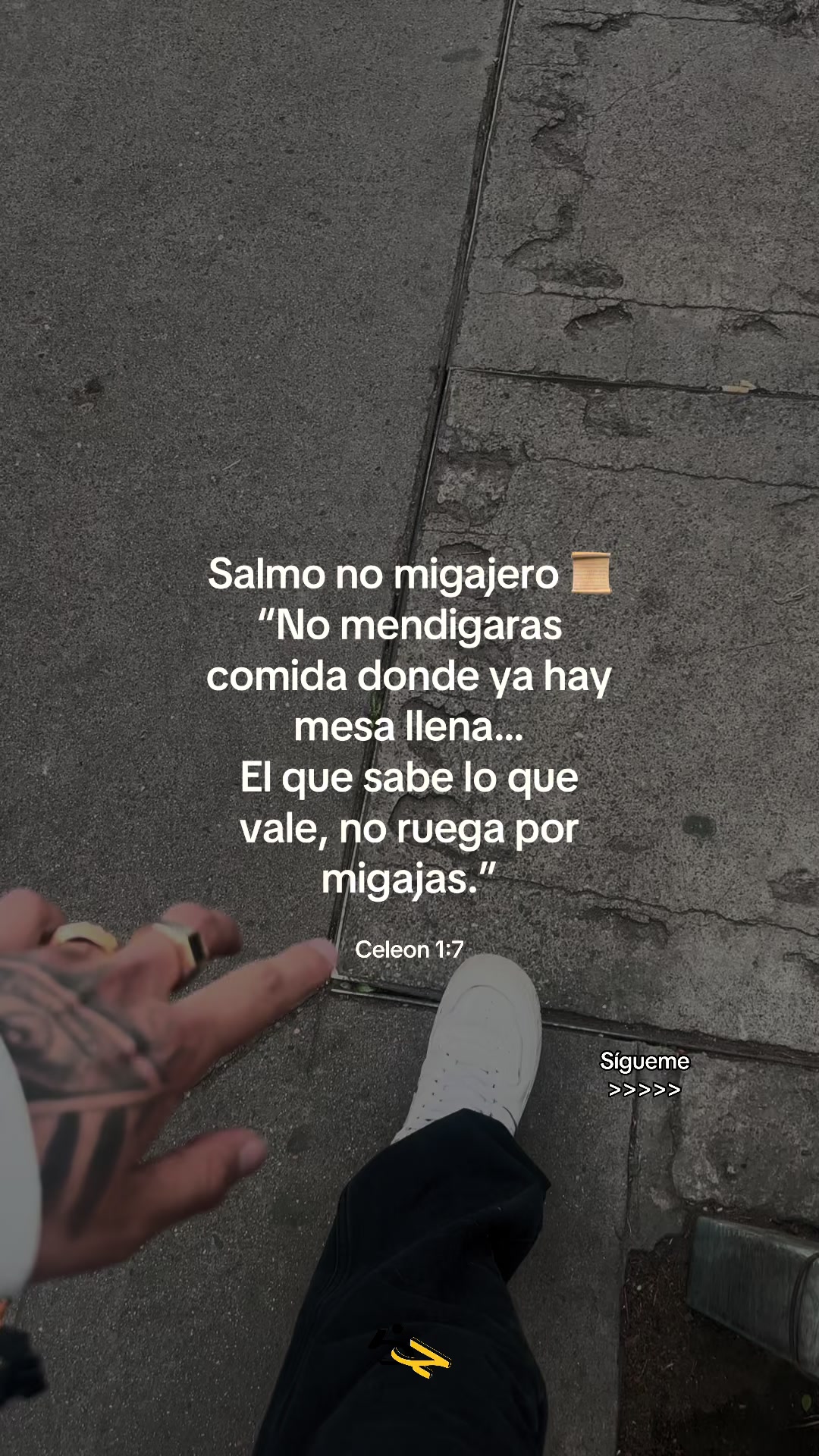 @cele&oacute;n