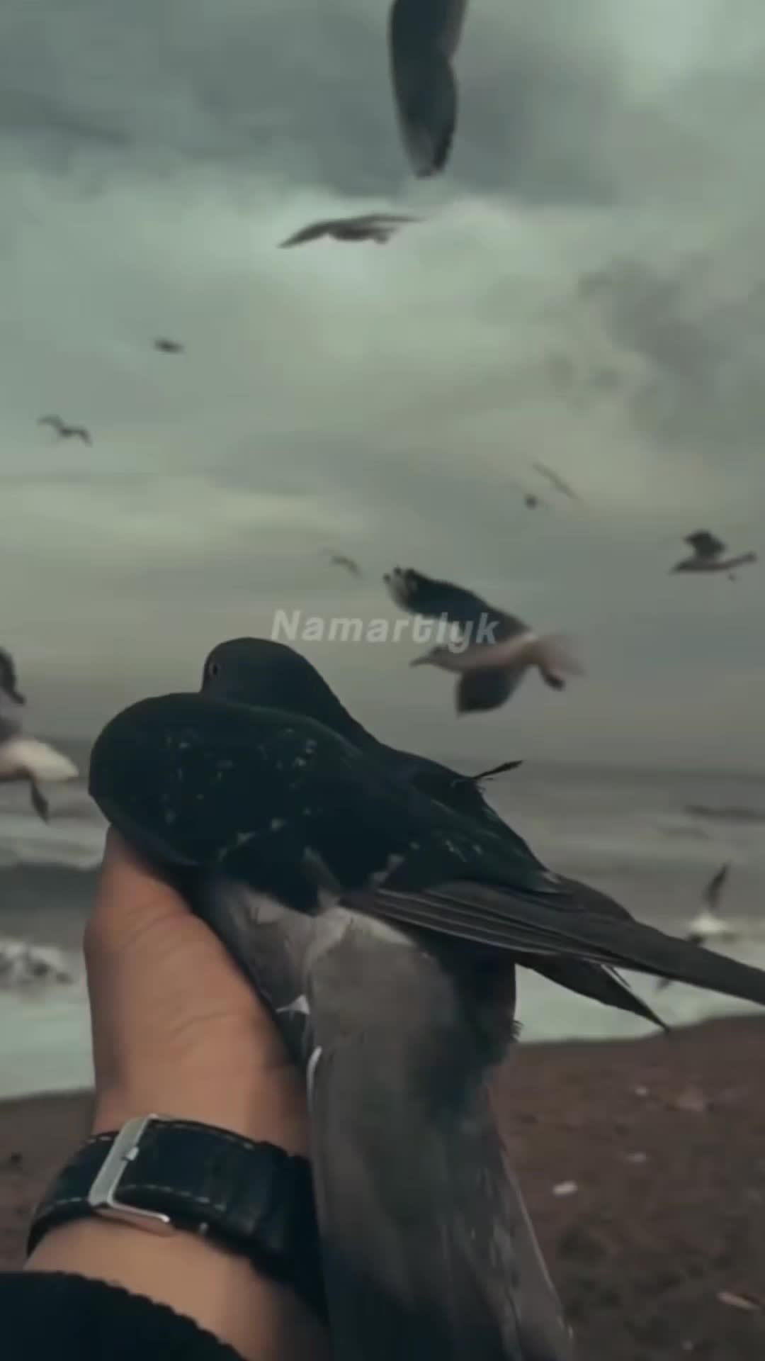 @𝙀𝙯𝙞𝙯𝙘𝙭𝙞𝙠.𝙡𝙮𝙧𝙞𝙘𝙨