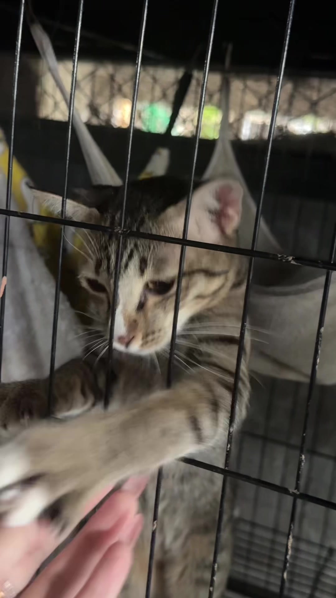 @PB(ผักบุ้ง)