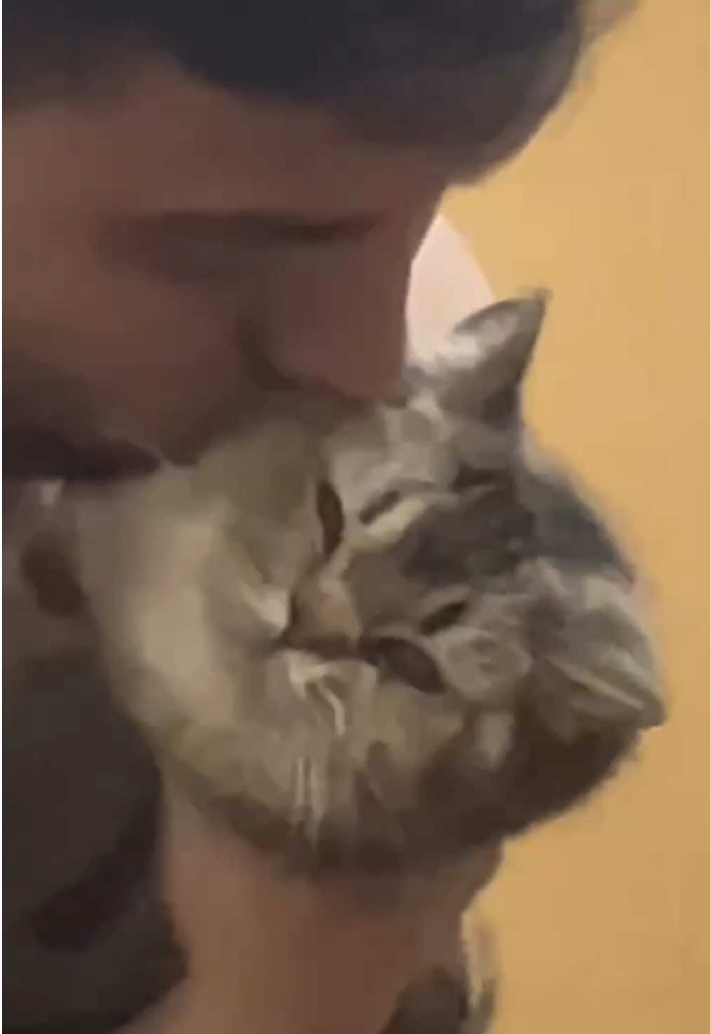 @сладкая вуру