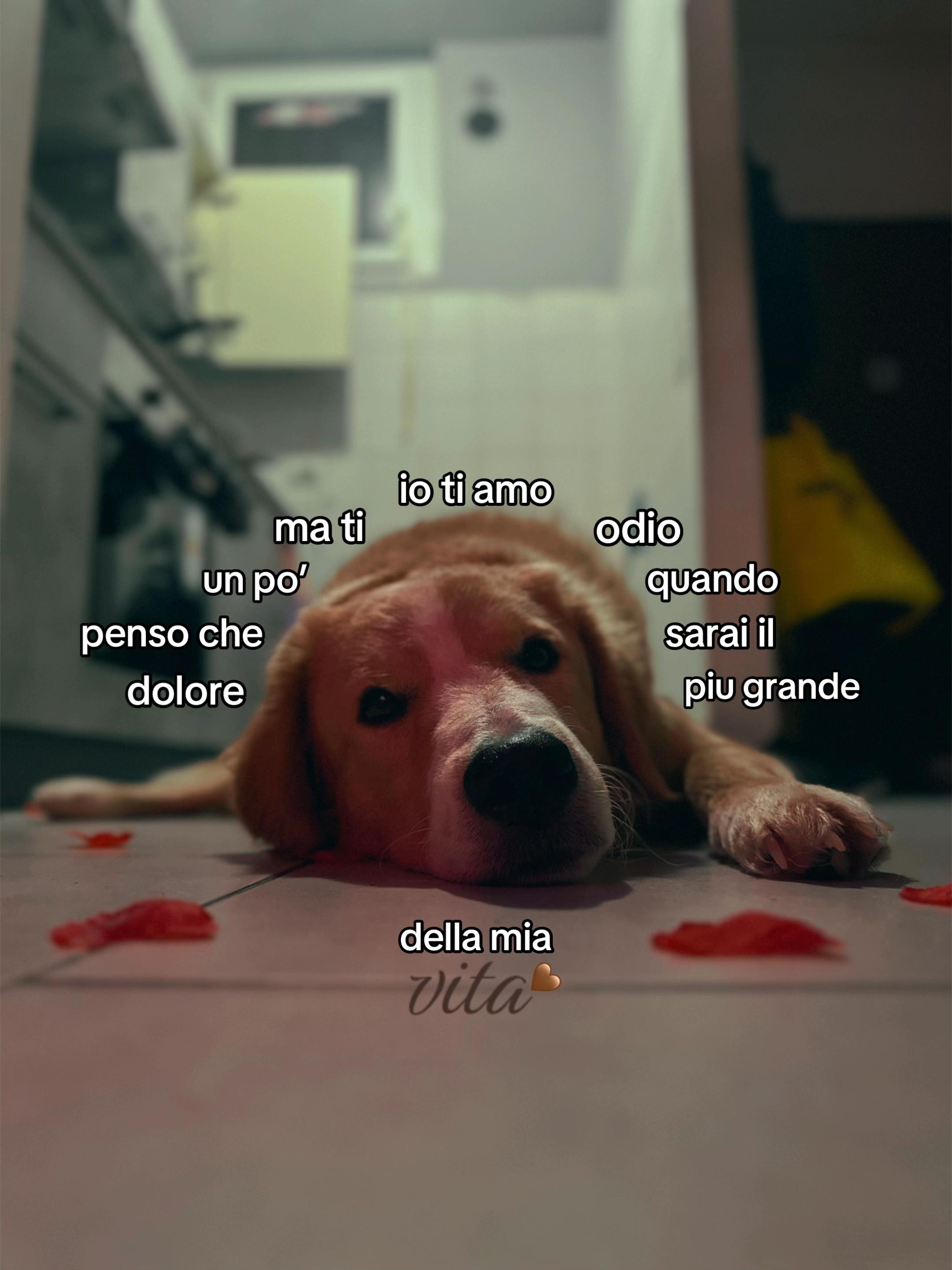 @𝒟𝑒𝒹𝑒