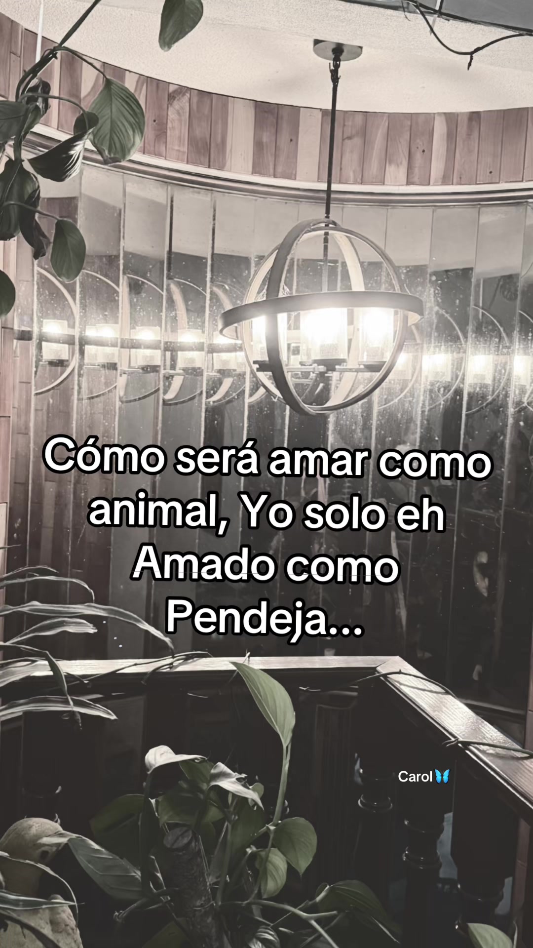 @CAROL🦋