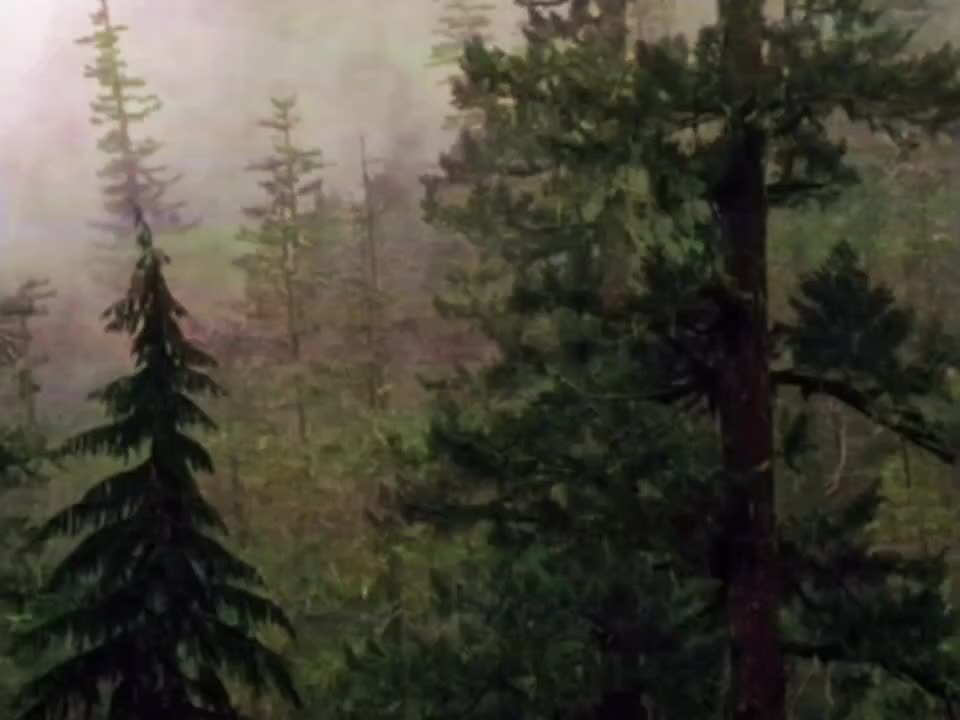 @твой психолог