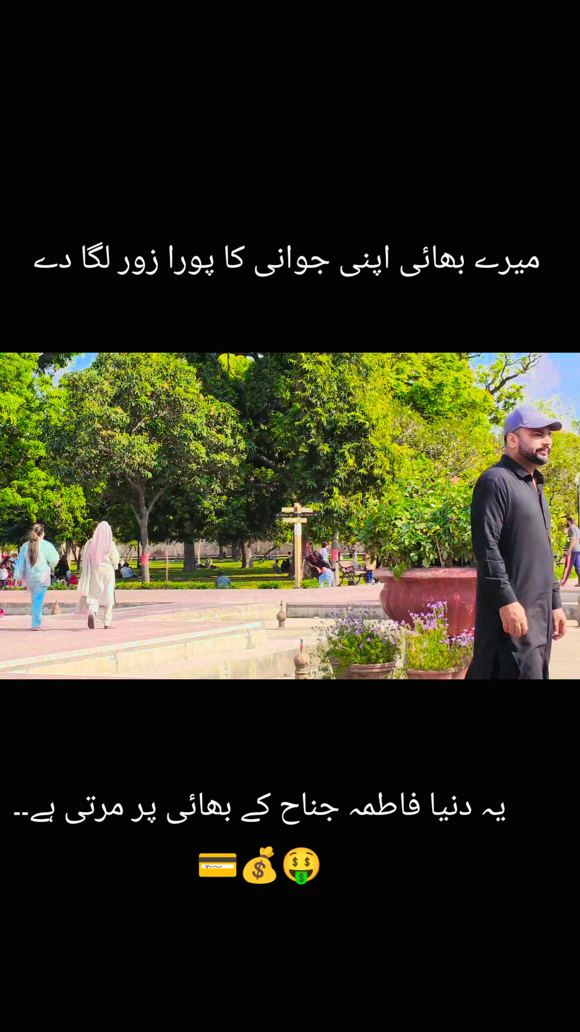 @Saim Alee 🐬
