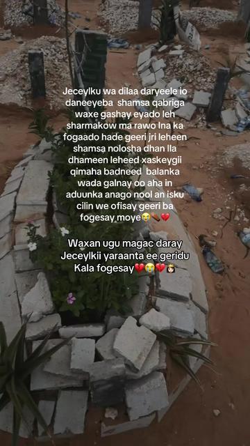 @Seygii shamso Yusuf Cade 💍